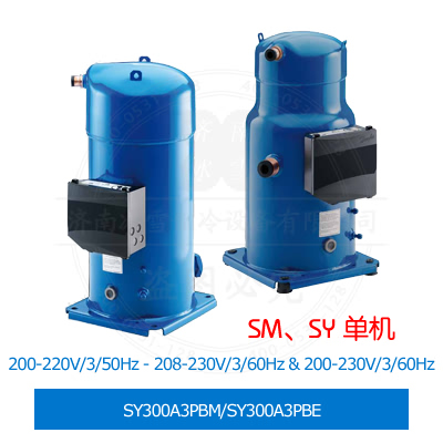 SY300A3PBM/SY300A3PBE